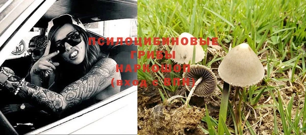 герыч Арсеньев
