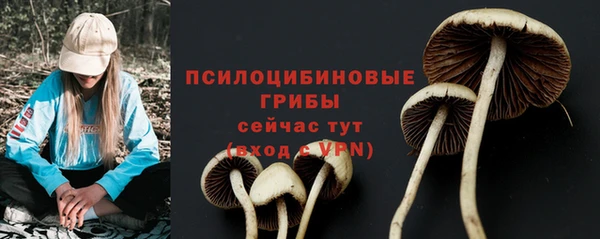 герыч Арсеньев