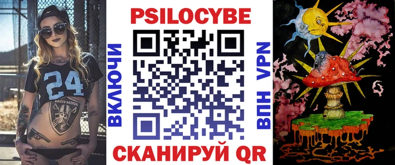 Галлюциногенные грибы Psilocybe  Новодвинск 